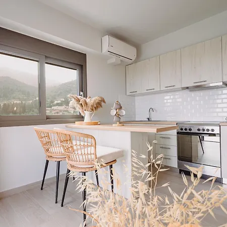 Amelia Luxury Apartment Nikiana